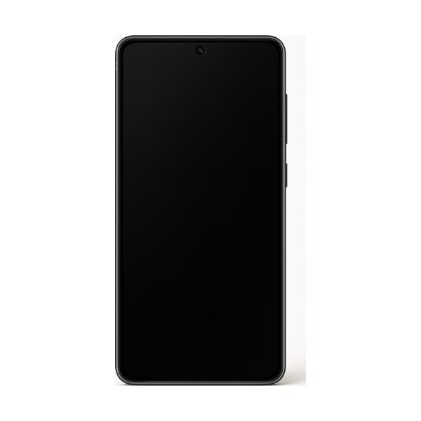 Ремонт Samsung Galaxy S25 FE в Москве