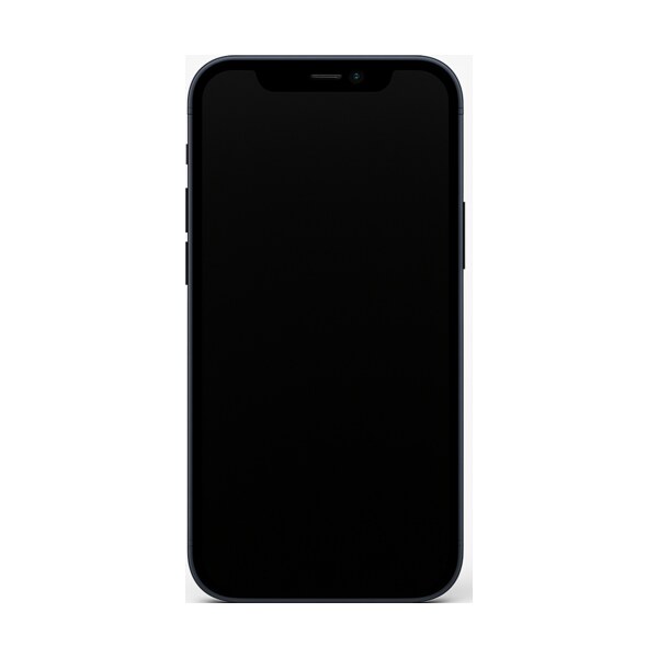 Ремонт iPhone 12 mini в Москве