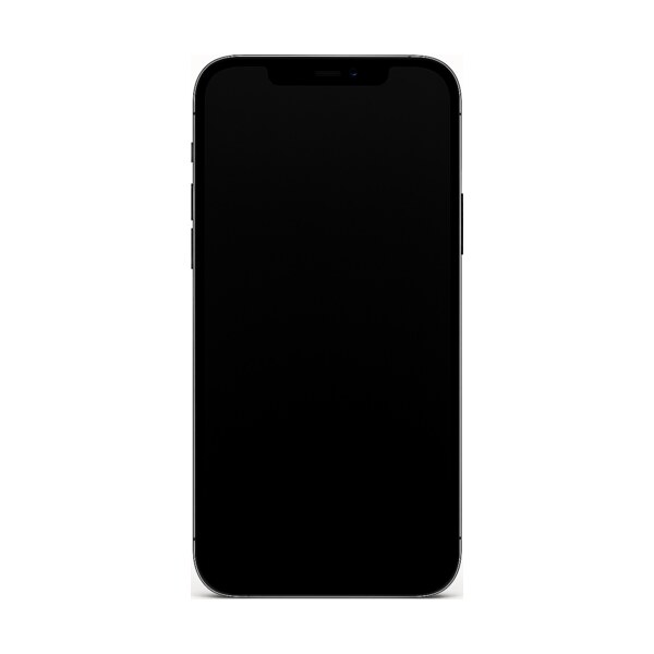 Ремонт iPhone 12 Pro Max в Москве