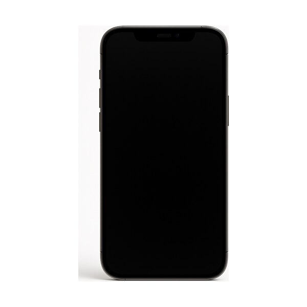 Ремонт iPhone 12 Pro в Москве