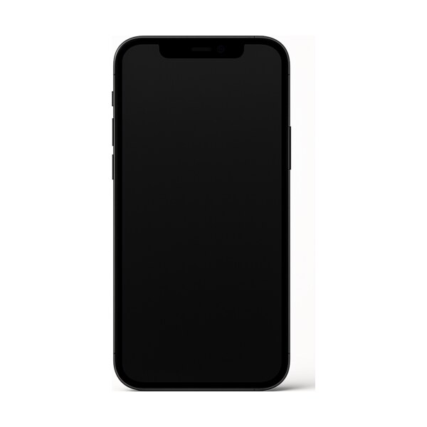 Ремонт iPhone 12 в Москве