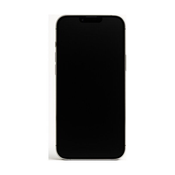 Ремонт iPhone 13 Pro Max в Москве