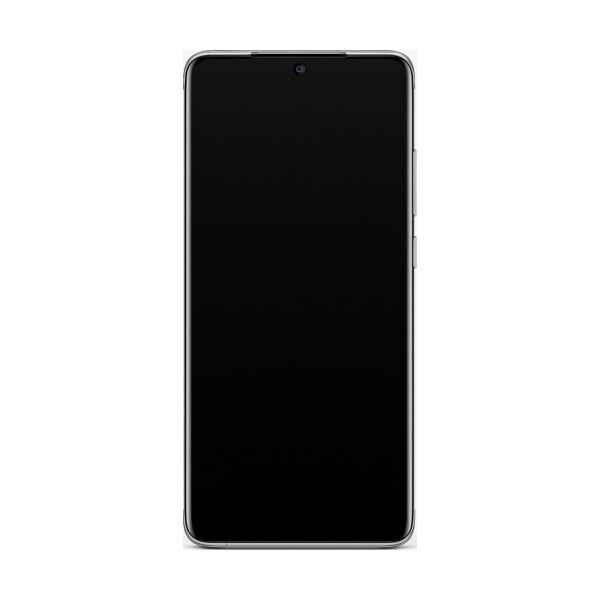 Ремонт Meizu 18s Pro в Москве