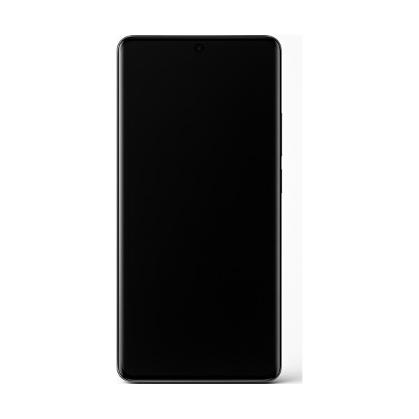 Ремонт vivo X100 в Москве